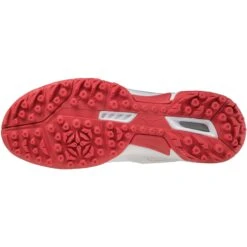 Mizuno Wave Lynx X1GA2020 Hockeyschoenen Dames White -Beste Hockey Winkel 130175 100 04 1